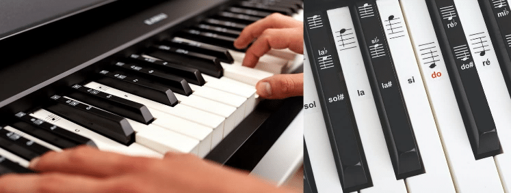 Autocollant De Clavier De Piano Notation De Portée À 88 Touches